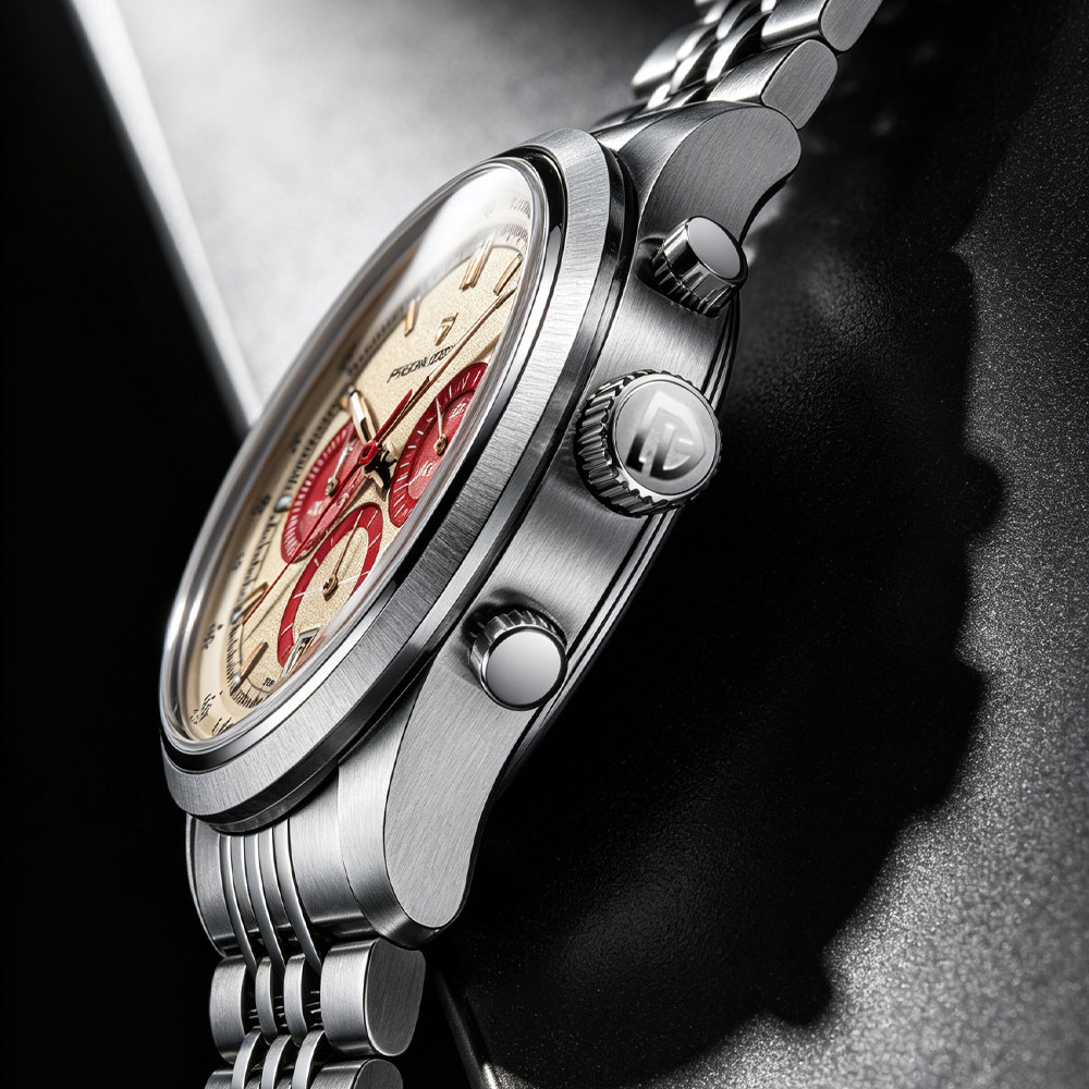 Luxury Watch Men - PAGANI DESIGN New Men Watch Luxury