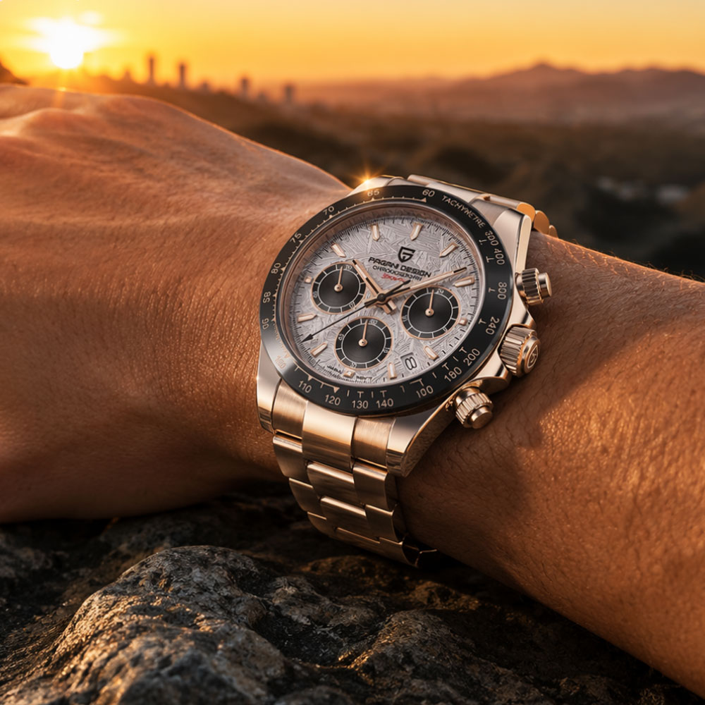 Top Brand PAGANI DESIGN Luxury - Luxury Watch Men recension och pris
