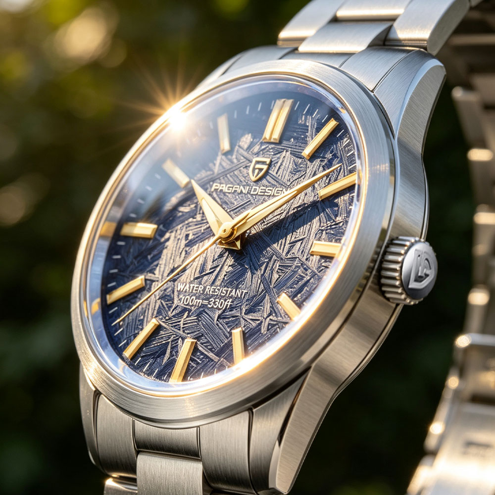 PAGANI DESIGN 40MM Men Quartz  - Luxury Watch Men recension och pris